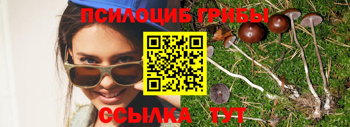 как найти   Вход с VPN  Азнакаево  Псилоцибиновые грибы мицелий 